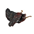 Ancho Dried Chile Pepper 50gm